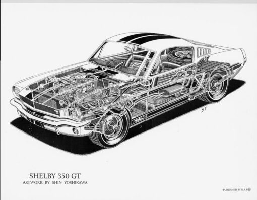 Shelby 350 GT Cutaway 18 X 24