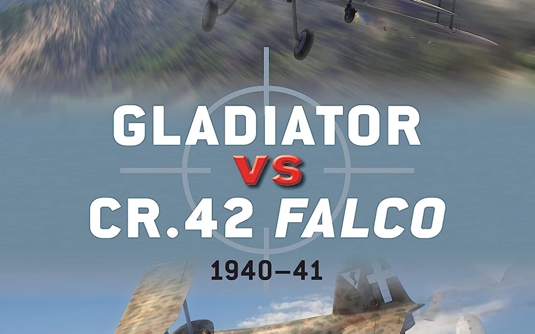 Gladiator vs CR.42 Falco 1940-41 (Duel #47)