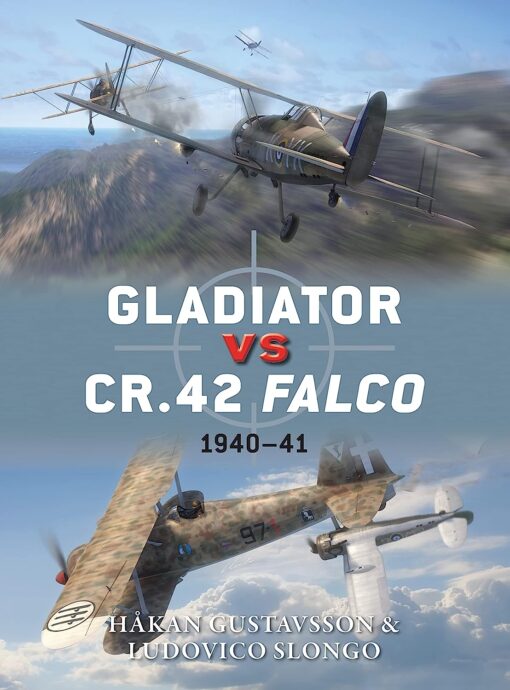 Gladiator vs CR.42 Falco 1940-41 (Duel #47)
