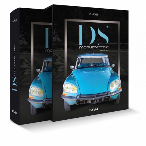Citroen DS Monumentale