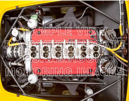 Yellow Ferrari TR   36 X 48