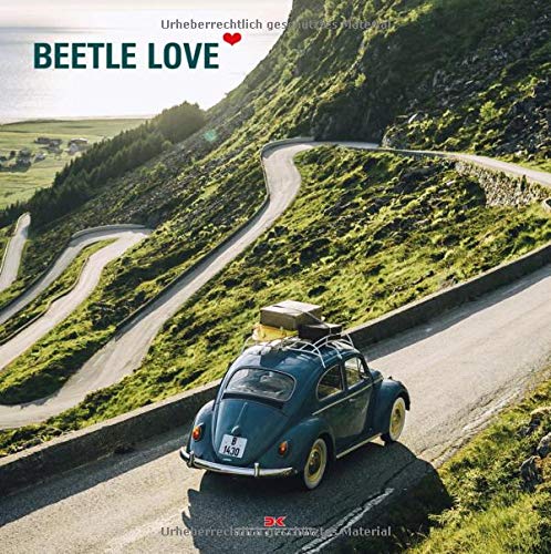 Beetle Love