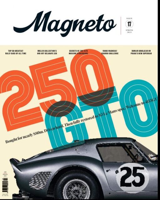 Magneto #17