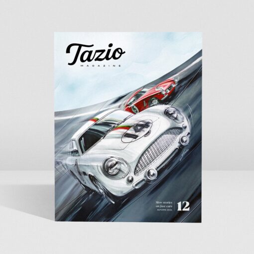 Tazio #12