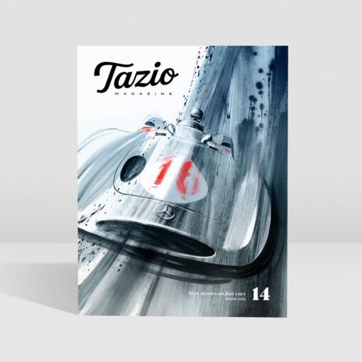 Tazio #14
