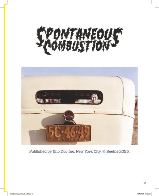 Spontaneous Combustion - Issue #1 - Image 3
