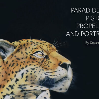 Paradiddles, Pistons, Propellers and Portraits